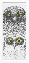 powerful owl christmas card