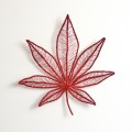 japanese maple by meredith woolnough