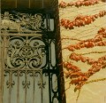 gate with vines, paris